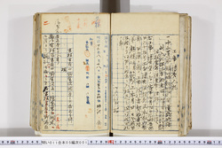 明い011050010002.jpg