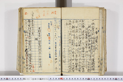 明い011050020002.jpg