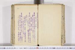 明い011050020005.jpg