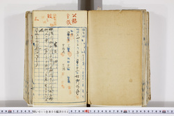明い011050020009.jpg