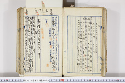 明い011050070002.jpg