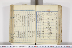 明い011060020002.jpg