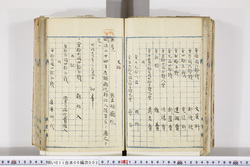 明い011060020003.jpg