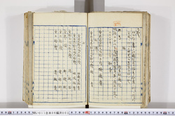明い011060030002.jpg