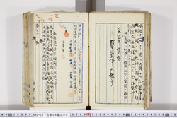 明い011060070002.jpg