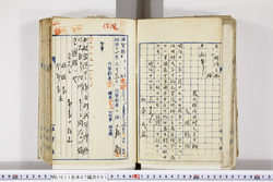 明い011070010002.jpg