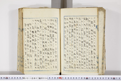 明い011070040002.jpg