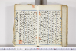 明い011080040020.jpg