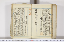 明い011080050005.jpg