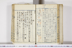 明い011080080003.jpg