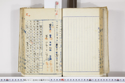 明い011080080008.jpg