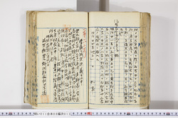 明い011080130002.jpg