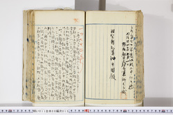 明い011080150006.jpg
