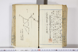 明い011080210003.jpg