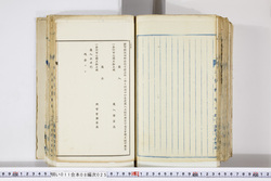 明い011080250006.jpg