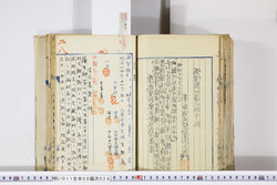 明い011080280002.jpg