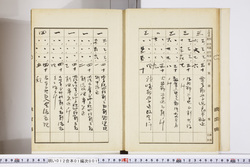 明い012010010007.jpg