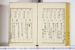 明い012020010004.jpg
