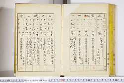 明い012020010005.jpg