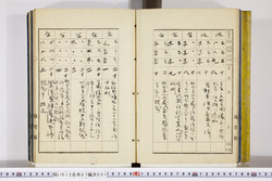 明い012070010005.jpg