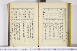 明い012070010009.jpg