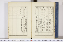 明い012080010007.jpg