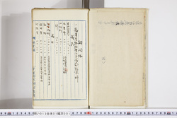 明い013010010010.jpg