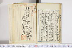 明い013010080004.jpg
