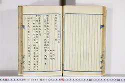 明い013010090037.jpg