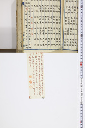 明い013010090040.jpg