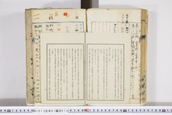 明い013010100010.jpg