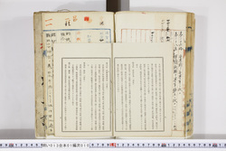 明い013010100011.jpg