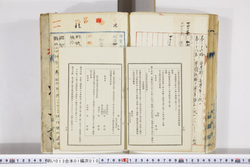 明い013010100017.jpg