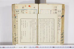 明い013010100018.jpg