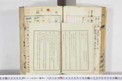 明い013010100019.jpg