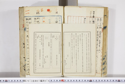 明い013010100020.jpg