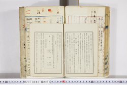 明い013010100024.jpg
