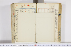明い013010100029.jpg