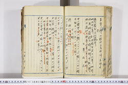 明い013020060004.jpg