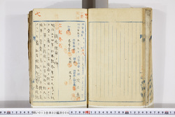 明い013020060007.jpg