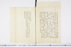 明い013020080003.jpg