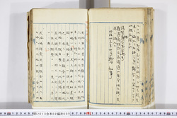 明い013020090002.jpg