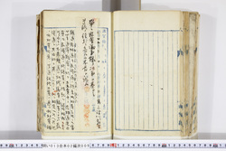 明い013020090004.jpg