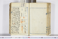 明い013020090005.jpg