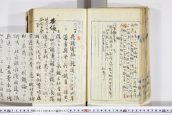 明い013020090006.jpg