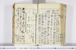 明い013020090008.jpg