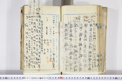 明い013020090009.jpg