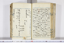 明い013020090010.jpg