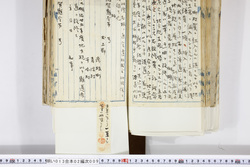 明い013020090011.jpg