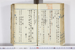 明い013020110002.jpg